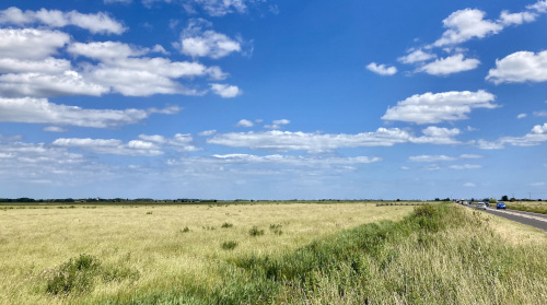 Halvergate Marsh, photograph looking East, 2023